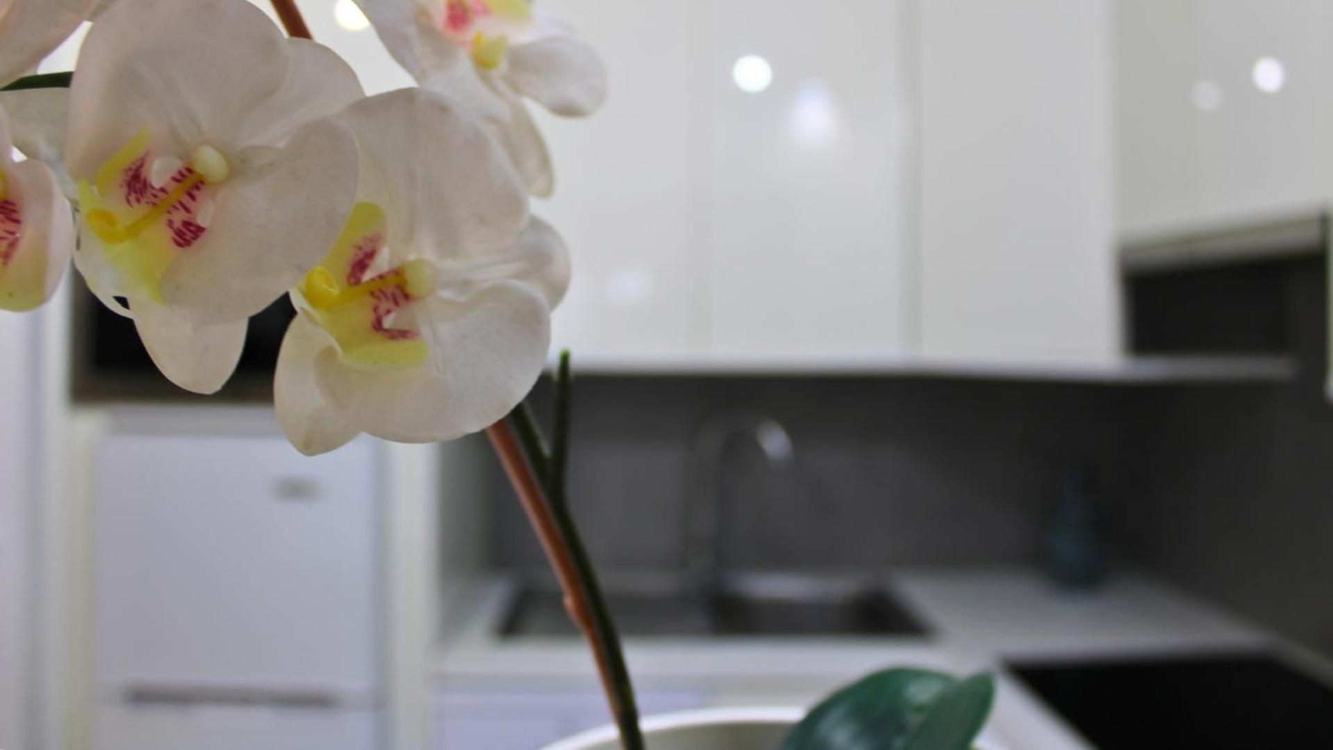 Markethome Mareverde Studio Costa Adeje  Εξωτερικό φωτογραφία